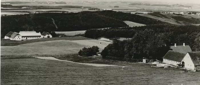 Foto: Tolne, udsigt mod VNV fra Tolne Bjerg.- tv. Vestergaard th. Østergaard. Fra: Arkiv.dk.