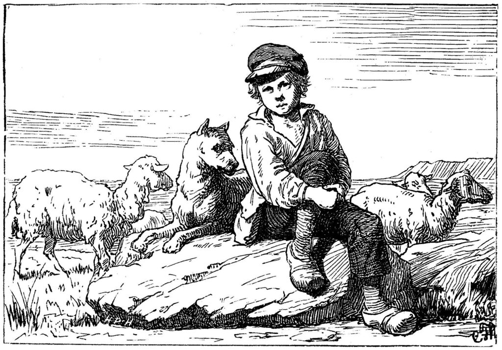 Hyrdedreng. Xylografi 1898, Gengivet Dansk Bondeliv i forrige århundrede (1975)
