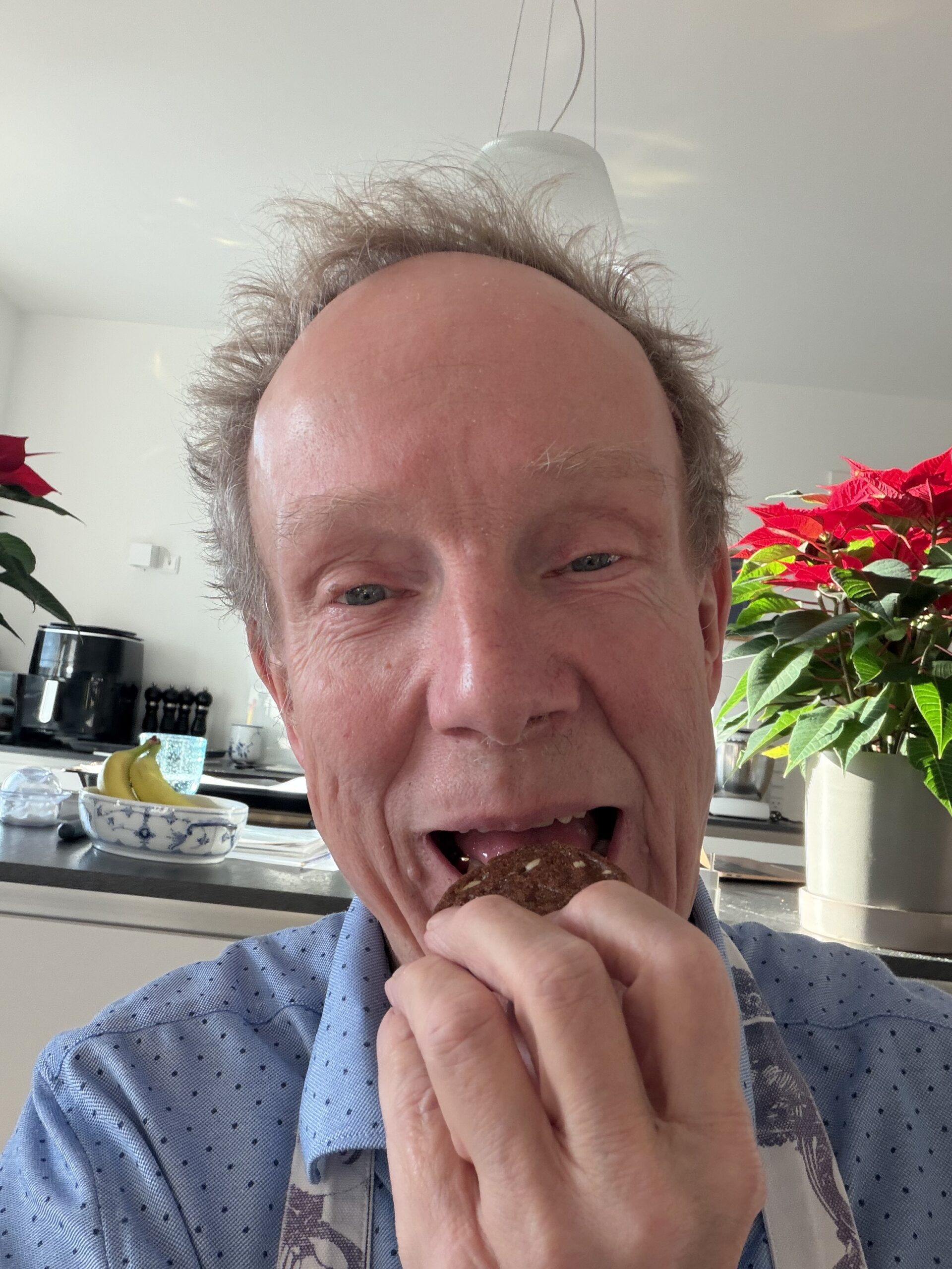 Bittens bedste brunkager