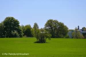 Naturstyrelsen er stadig interesseret i at købe og udvikle