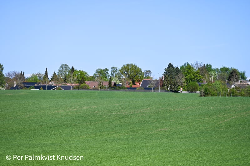 Ny Allerødgårds jorde - kig mod Ny Blovstrød