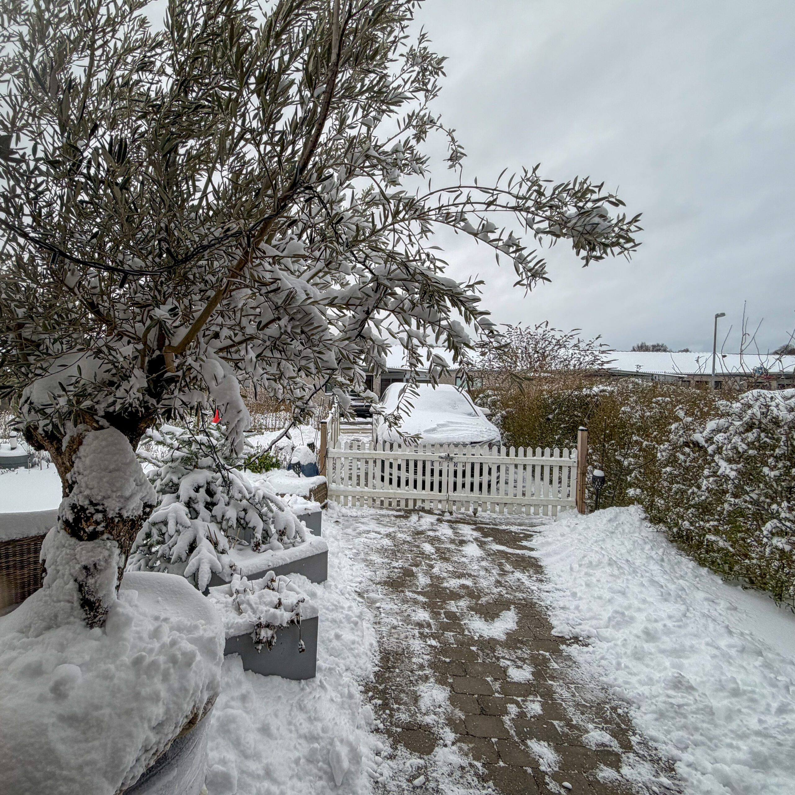 Snerydning og snefygning – det er stadig glat!